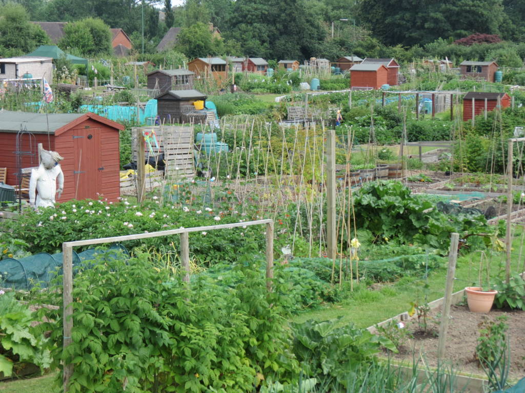 Bowbrook Allotments, Shrewsbury — Shrewsbury Town Council