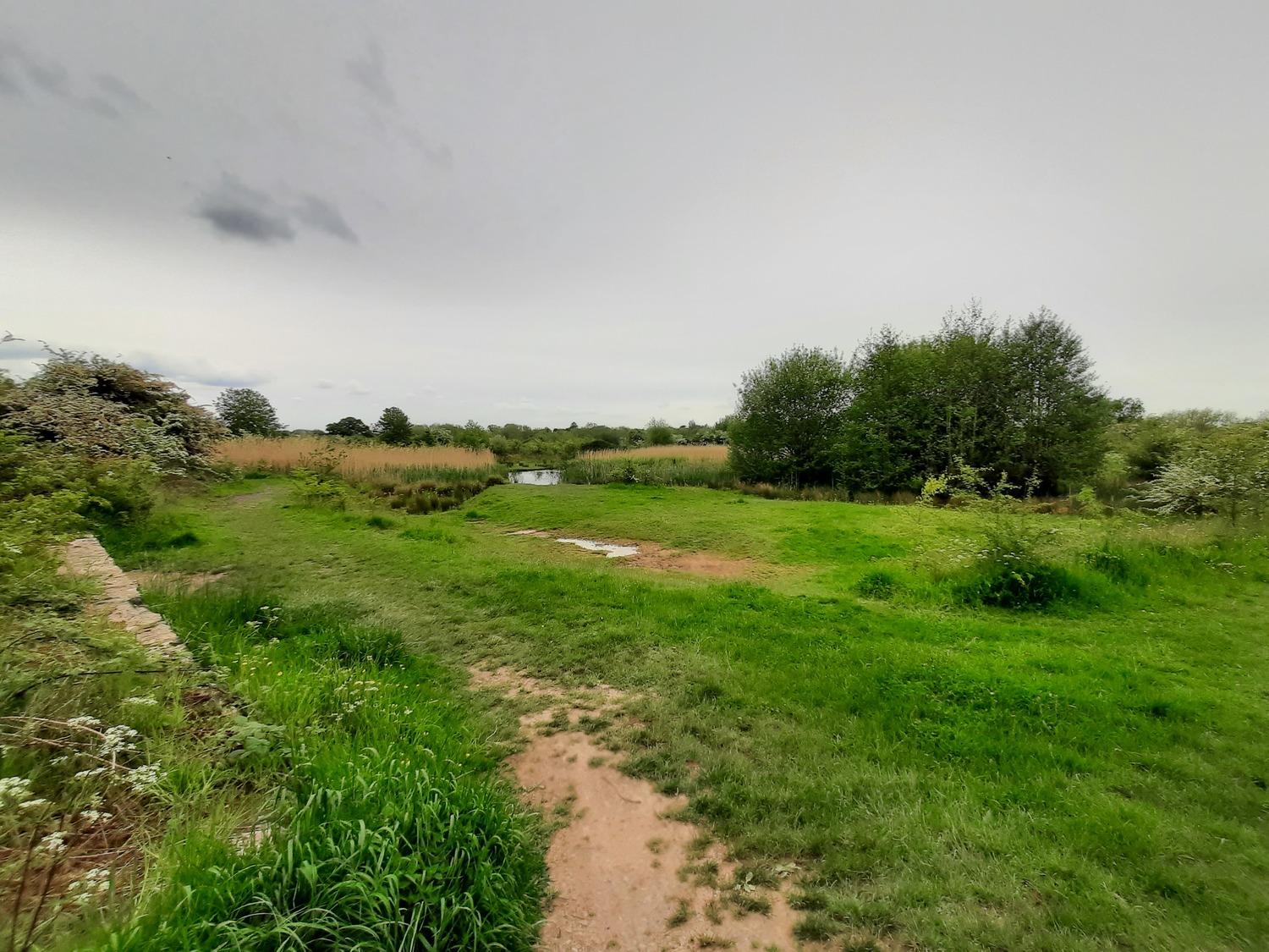 Old Shrewsbury Canal Countryside Site — Shrewsbury Town